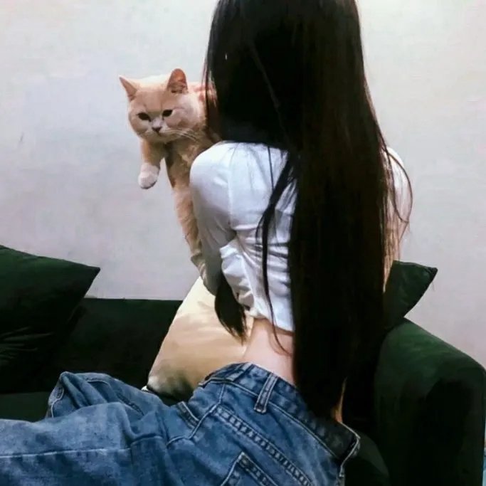 金车换玉人