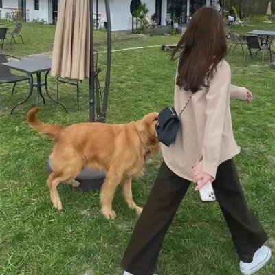 罪恶无间